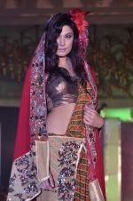 at Atharva College Indian Princess fashion show in Mumbai on 23rd Dec 2011 (136).JPG